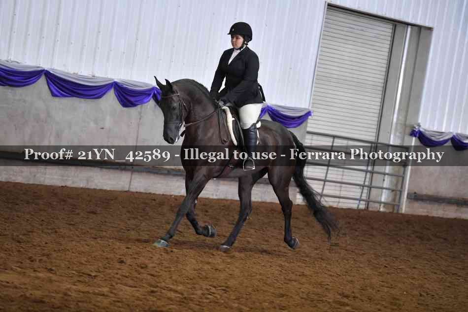 Proof Number 21YN_42589
