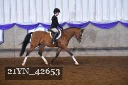 21YN_42653 thumbnail