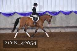 21YN_42654 thumbnail