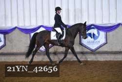 21YN_42656 thumbnail