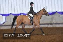 21YN_42657 thumbnail
