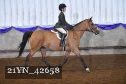 21YN_42658 thumbnail