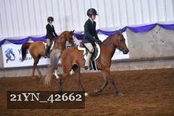 21YN_42662 thumbnail