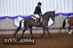 21YN_42664 thumbnail