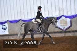21YN_42668 thumbnail