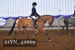 21YN_42669 thumbnail