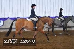 21YN_42670 thumbnail