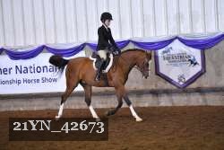 21YN_42673 thumbnail