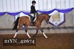 21YN_42674 thumbnail