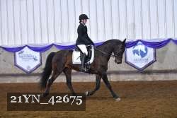 21YN_42675 thumbnail