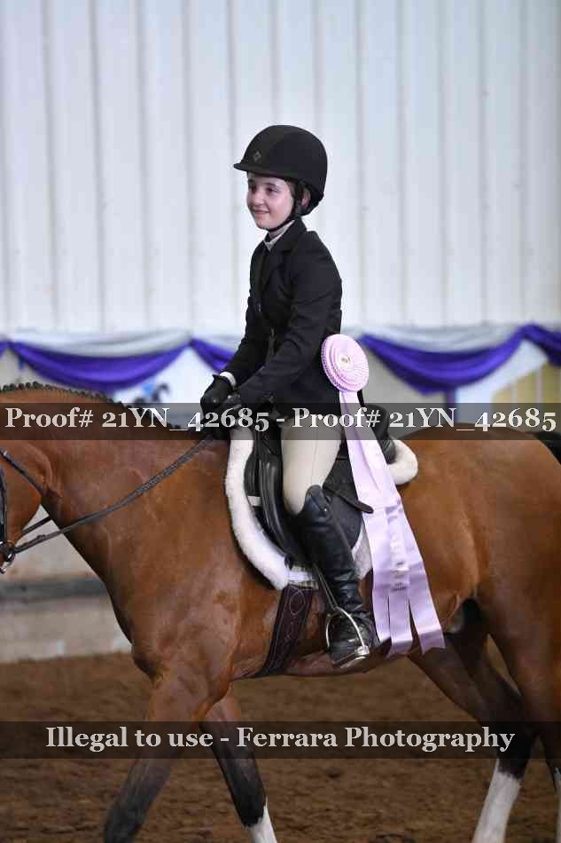 Proof Number 21YN_42685