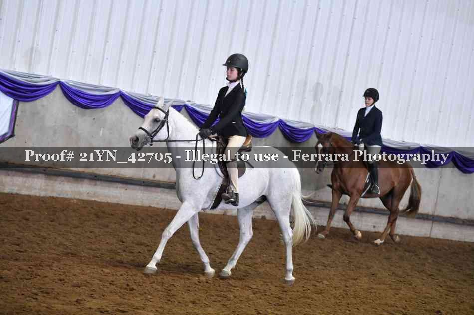 Proof Number 21YN_42705