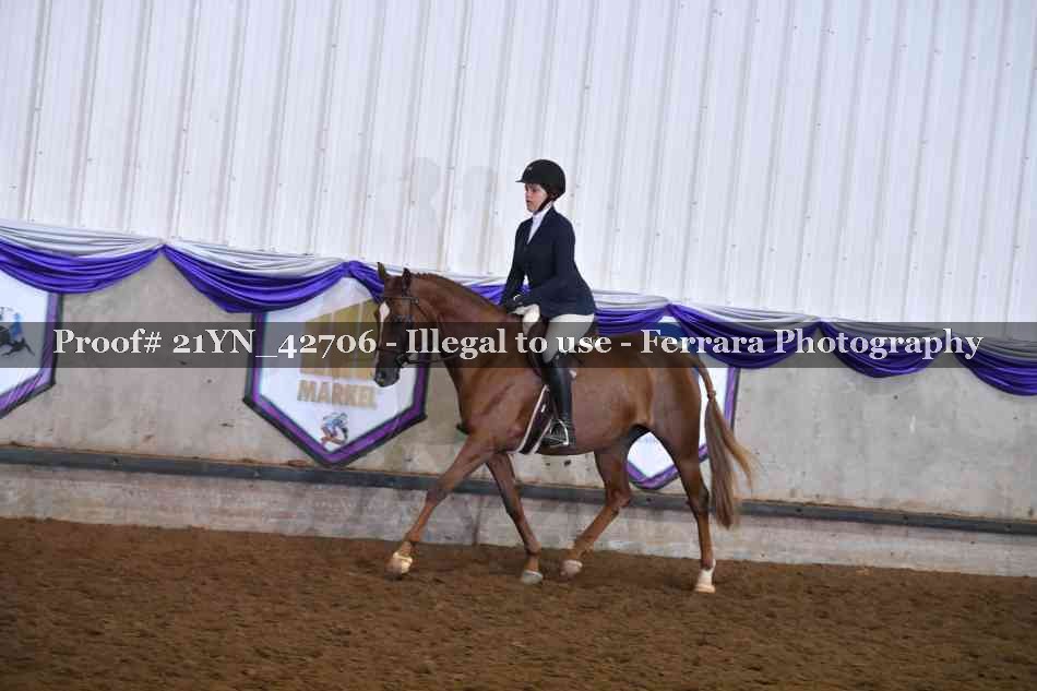 Proof Number 21YN_42706
