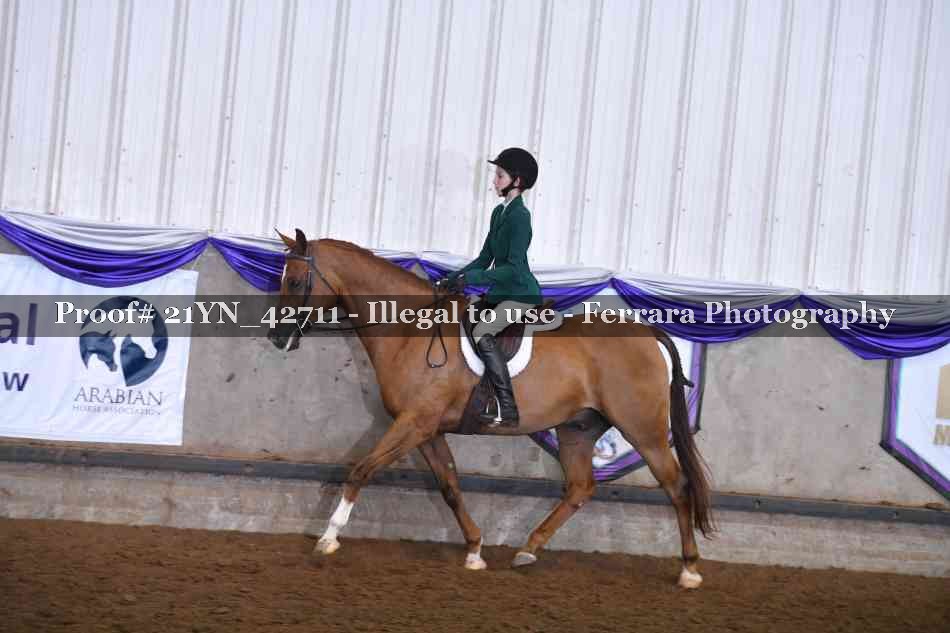 Proof Number 21YN_42711