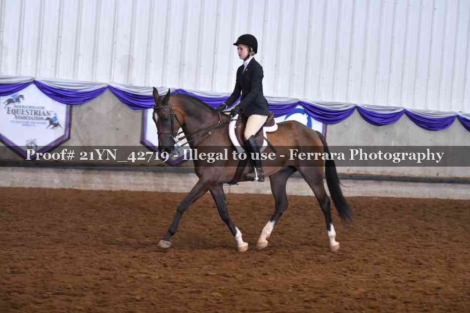 Proof Number 21YN_42719