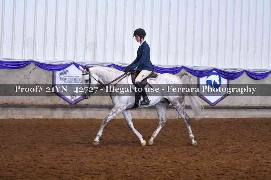 Proof Number 21YN_42727