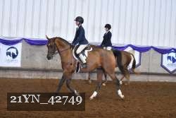 21YN_42749 thumbnail