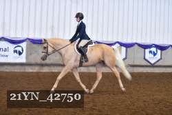 21YN_42750 thumbnail