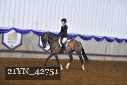 21YN_42751 thumbnail