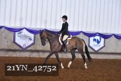 21YN_42752 thumbnail