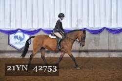 21YN_42753 thumbnail