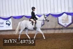 21YN_42755 thumbnail