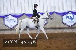 21YN_42756 thumbnail