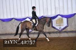 21YN_42757 thumbnail
