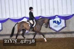 21YN_42758 thumbnail