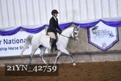 21YN_42759 thumbnail