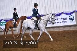 21YN_42760 thumbnail