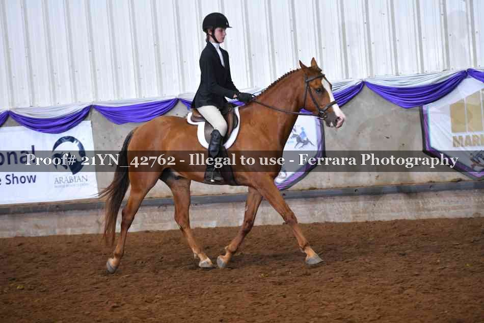 Proof Number 21YN_42762
