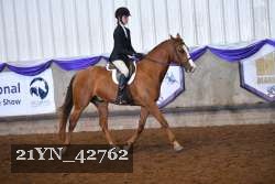 21YN_42762 thumbnail