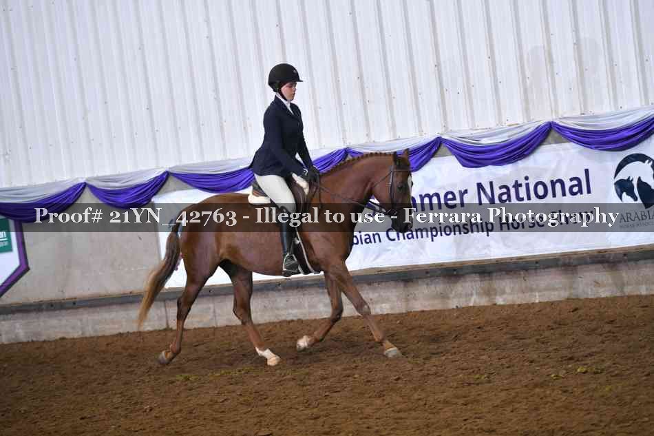 Proof Number 21YN_42763