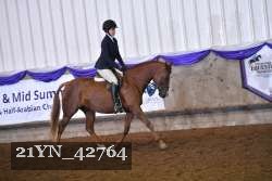 21YN_42764 thumbnail