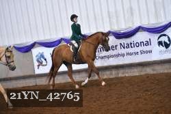 21YN_42765 thumbnail