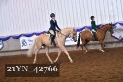 21YN_42766 thumbnail