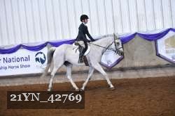 21YN_42769 thumbnail