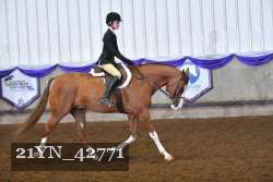 21YN_42771 thumbnail