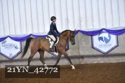 21YN_42772 thumbnail