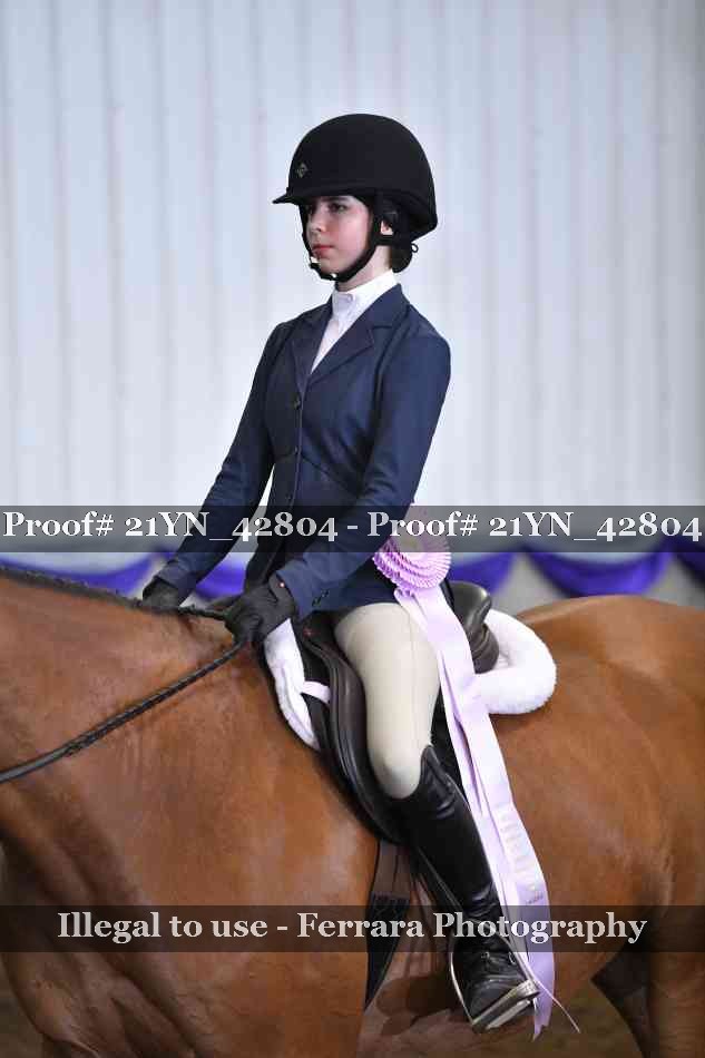 Proof Number 21YN_42804