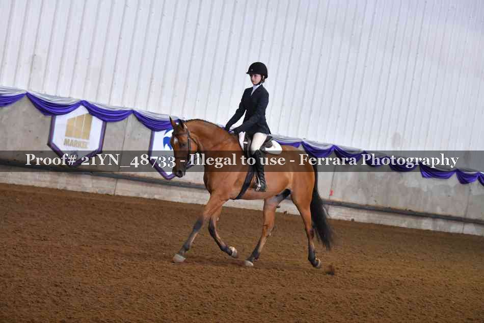Proof Number 21YN_48733