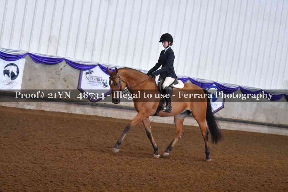 Proof Number 21YN_48734