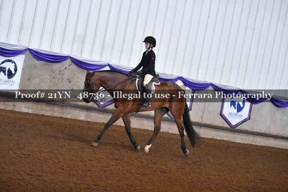 Proof Number 21YN_48736