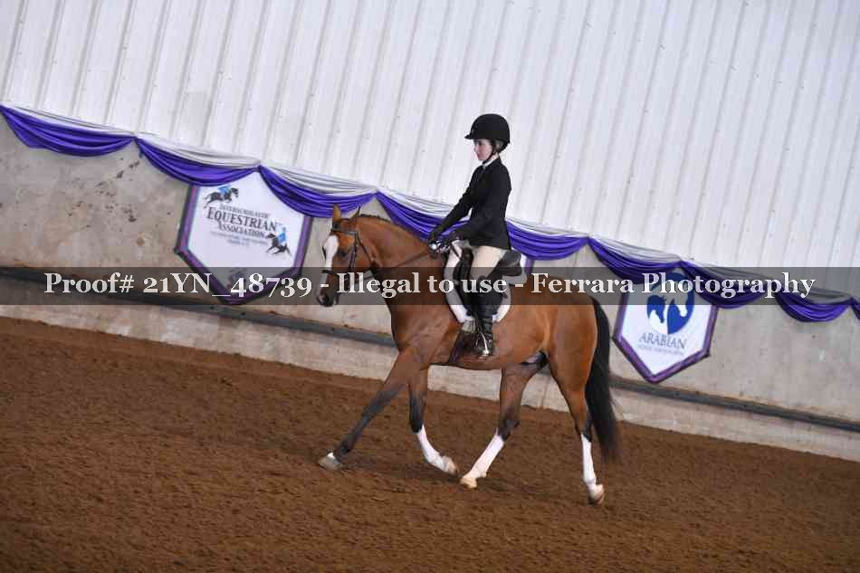 Proof Number 21YN_48739