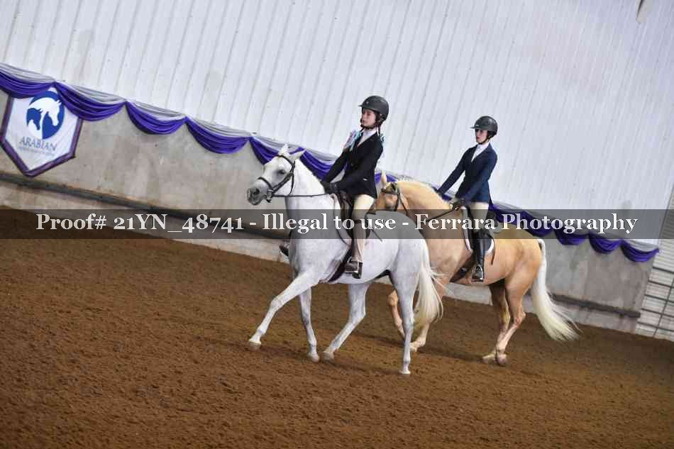 Proof Number 21YN_48741