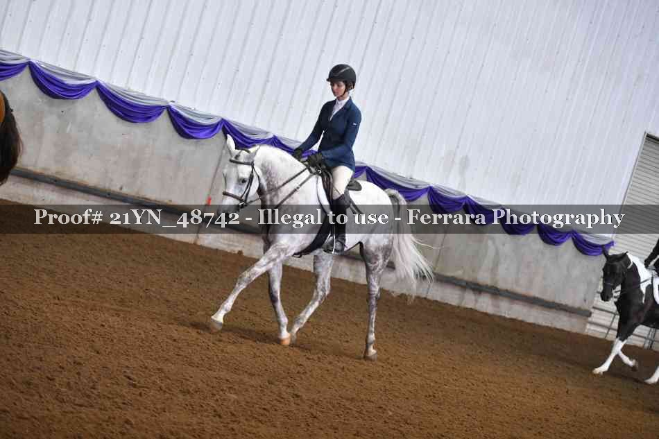 Proof Number 21YN_48742