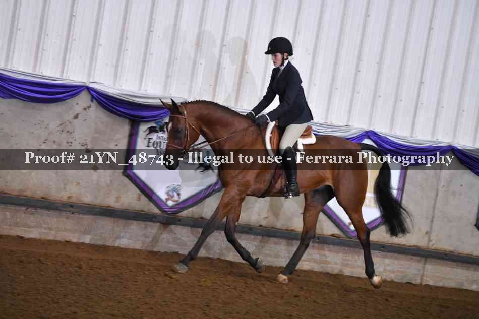 Proof Number 21YN_48743