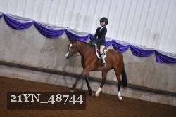 21YN_48744 thumbnail