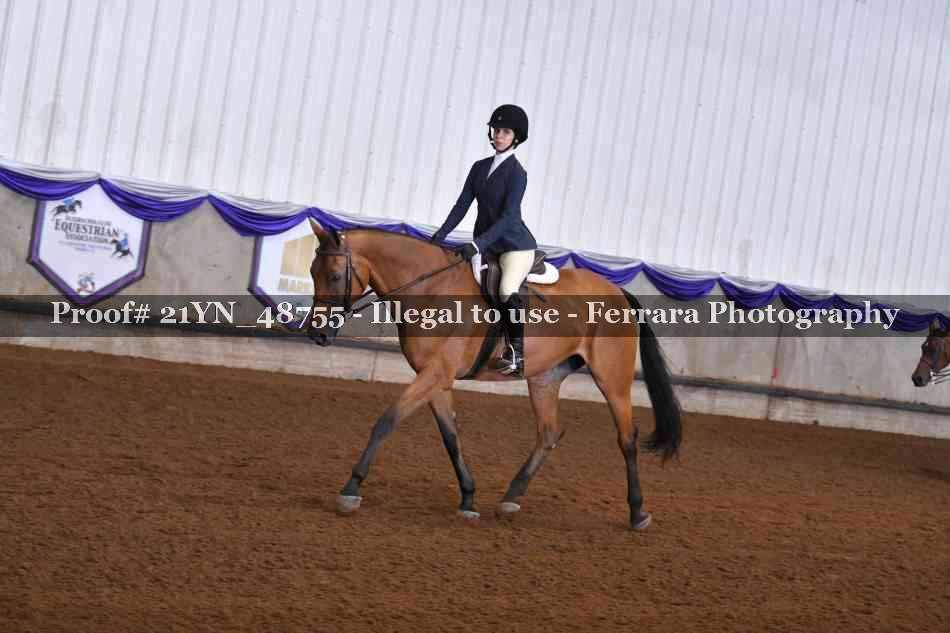 Proof Number 21YN_48755